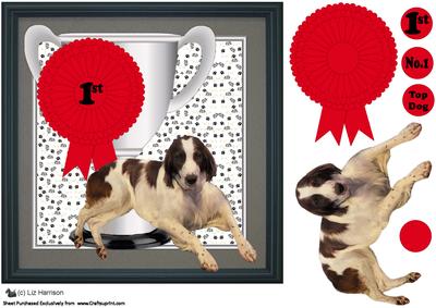 Irish Red & White Setter Trophy & Rosette 8x8 Card
