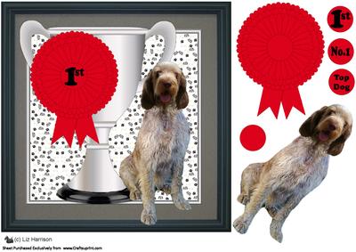 Italian Spinone Trophy & Rosette 8x8 Card