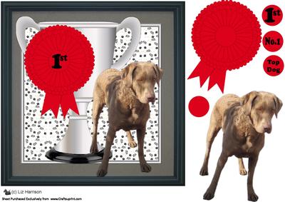 Chesapeake Bay Retriever Trophy & Rosette 8x8 Card