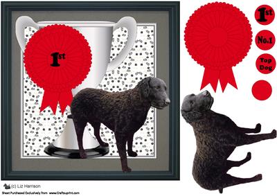 Curly Coated Retriever Trophy & Rosette 8x8 Card