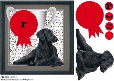 Flat Coated Retriever Trophy & Rosette 8x8 Card