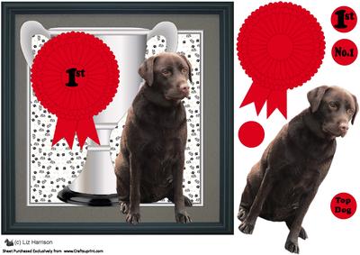 Chocolate Labrador Trophy & Rosette 8x8 Card