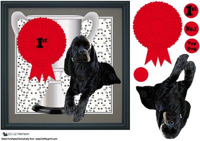 American Cocker Spaniel Trophy & Rosette 8x8 Card