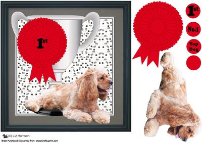 American Cocker Spaniel Trophy & Rosette 8x8 Card