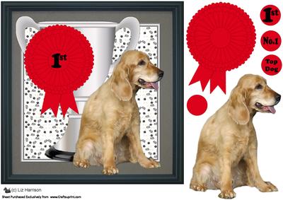 Cocker Spaniel ,golden ,trophy & Rosette 8x8 Card