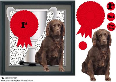 Field Spaniel Trophy & Rosette 8x8 Card