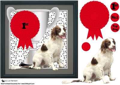 Springer Spaniel Trophy & Rosette 8x8 Card