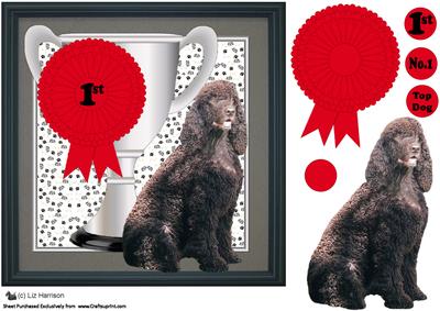 Irish Water Spaniel Trophy & Rosette 8x8 Card