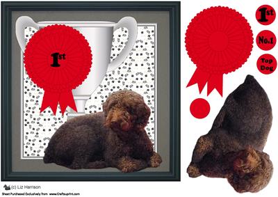 Spanish Water Dog Trophy & Rosette 8x8 Card