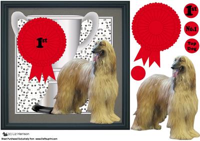 Afghan Hound Trophy & Rosette 8x8 Card