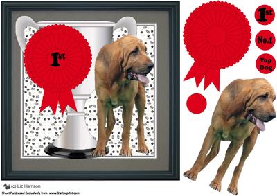 Bloodhound Trophy & Rosette 8x8x Card