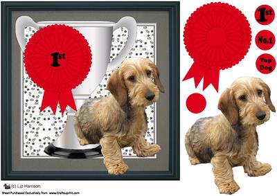 Dachshund,wirehaired,trophy & Rosette 8x8 Card