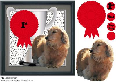 Dachshund,longhaired,trophy & Rosette 8x8 Card