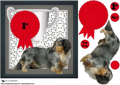 Dachshund,longhaired,trophy & Rosette 8x8 Card