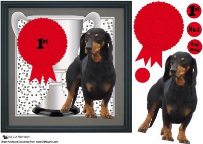 Dachshund Trophy & Rosette 8x8 Card
