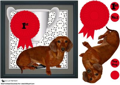 Dachshund Trophy & Rosette 8x8 Card