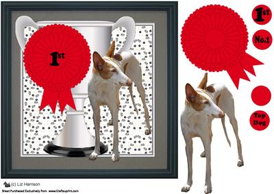 Ibizan Hound Trohy & Rosette 8x8 Card