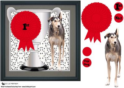 Sloughi Trophy & Rosette 8x8 Card