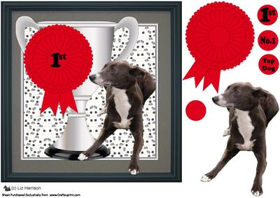 Whippet Trophy & Rosette 8x8 Card