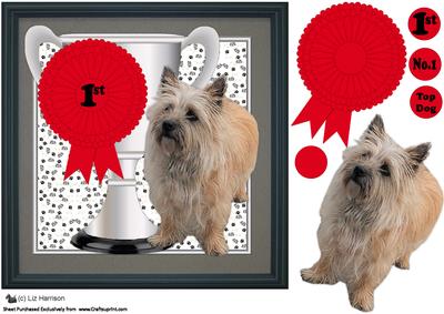 Cairn Terrier Trophy & Rosette 8x8 Card