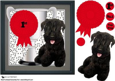 Cesky Terrier Trophy & Rosette 8x8 Card