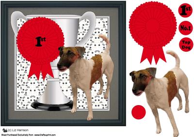 Fox Terrier,smooth,trophy & Rosette 8x8 Card