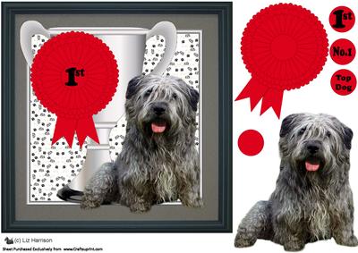 Glen of Imaal Terrier Trophy & Rosette 8x8 Card
