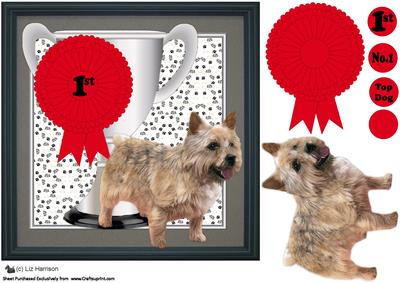 Norwich Terrier Trophy & Rosette 8x8 Card