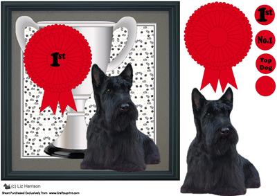 Scottie Dog Trophy & Rosette 8x8 Card