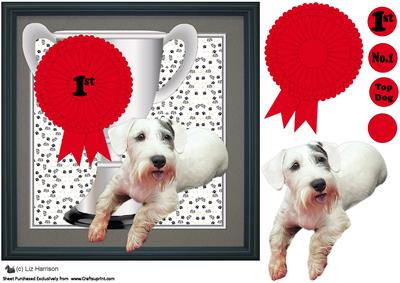Sealyham Terrier Trophy & Rosette 8x8 Card