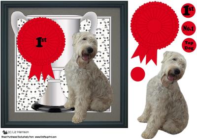 Soft Coated Wheaten Terrier Trophy & Rosette 8x8 Card