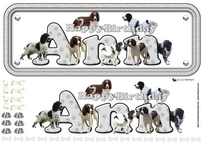 Ann & Springer Spaniel Name Sign 3D Decoupage