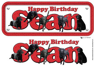 Sean & Labrador Name Sign 3D Decoupage