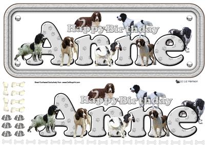 Anne & Springer Spaniel Name Sign 3D Decoupage