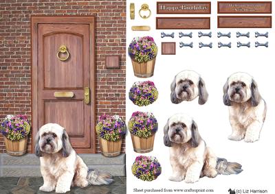 Lhasa Apso Door Step Scene