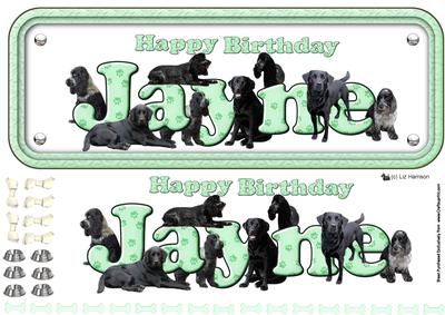 Jayne,spaniels & Labradors Name Sign 3D Decoupage