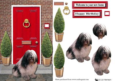 Powlish Lowland Sheepdog Red Door