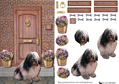 Powlish Lowland Sheepdog Doorstep Scene
