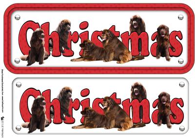 Newfoundland,brown,christmas Sign