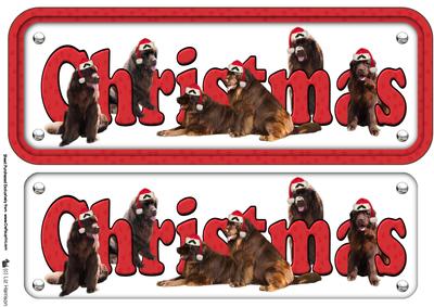 Newfoundland & Hats ,brown,christmas Sign