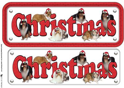 Collie & Hats Christmas Name Sign