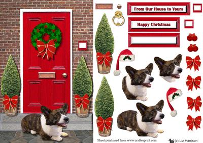 Welsh Corgi ,cardigan,on a Christmas Doorstep