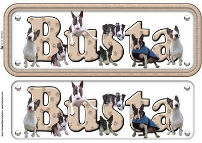 Busta the Bull Terrier Name Sign