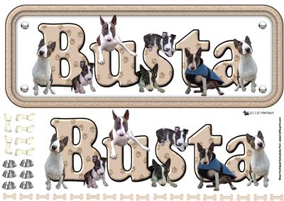 Busta the Bull Terrier Name Sign 3D Decoupage