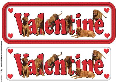 Dogue De Bordeaux Valentine Sign