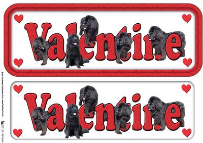 Newfoundland,black,valentine Sign