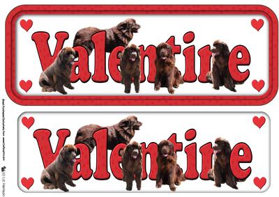 Newfoundland,brown,valentine Sign