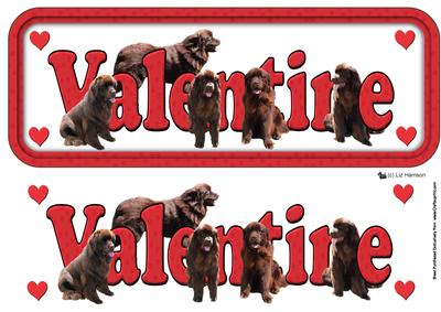 Newfoundland,brown,valentine Sign 3D Decoupage