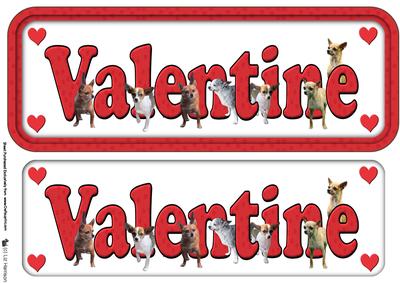 Chihuahua Valentine Sign