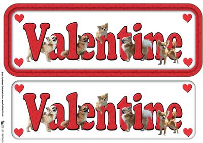 Chihuahua ,long Haired, Valentine Sign